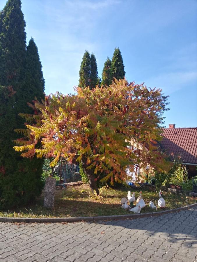 Ferienwohnung Eszter-Lak Monostorapáti Exterior foto